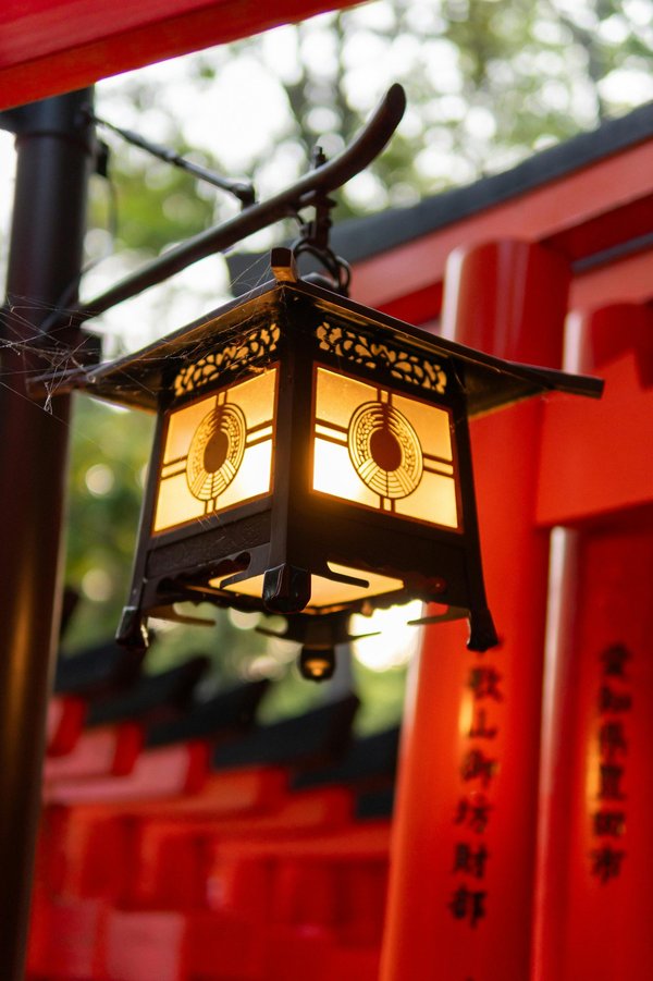Illuminate your space: the timeless charm of japanese lanterns